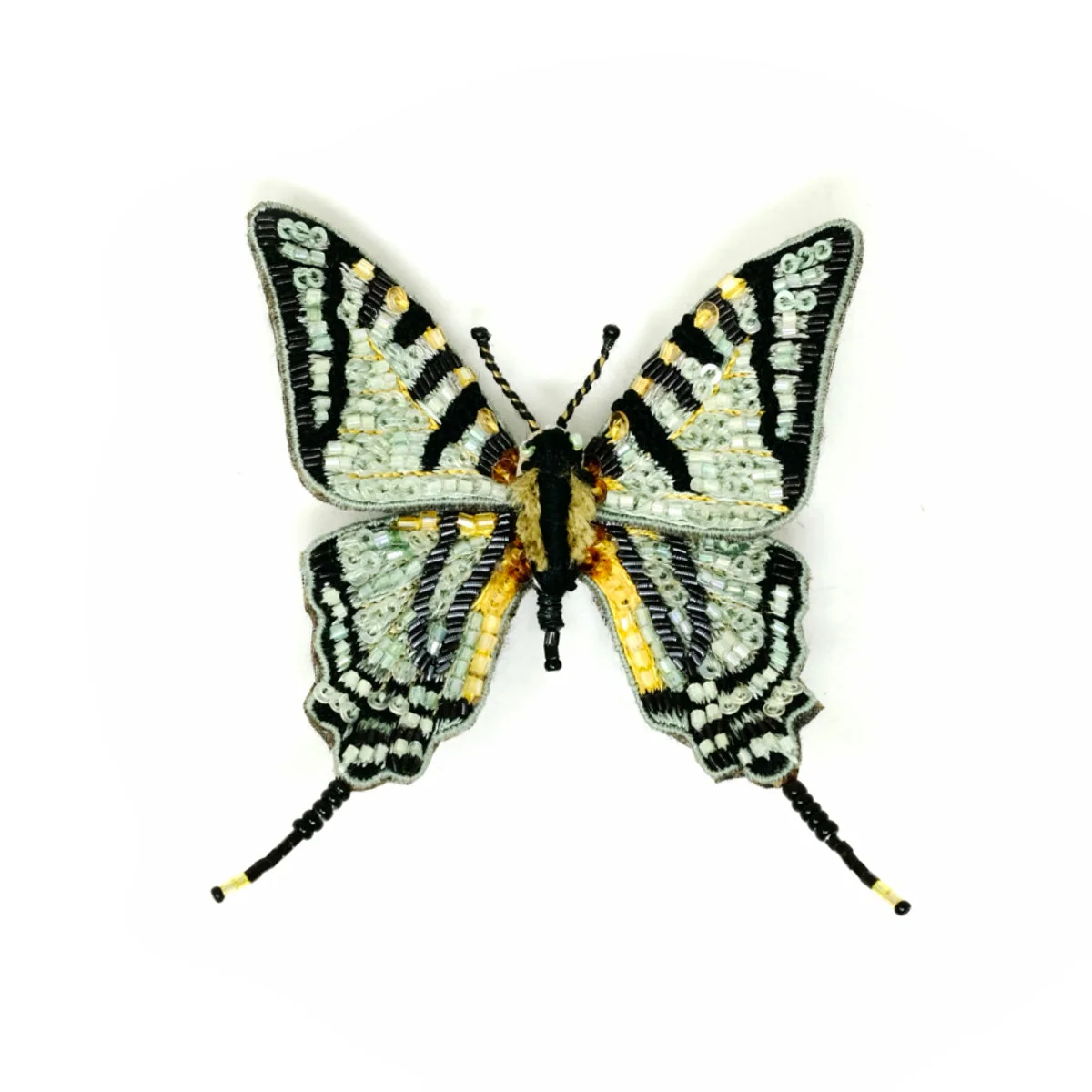 Southern Swallowtail