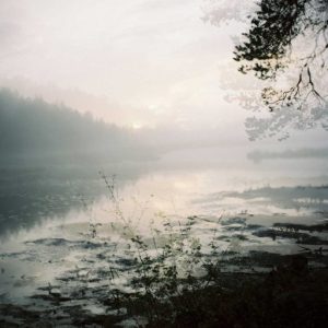 Metamorphosis, Series I #6 – ‘Petals’