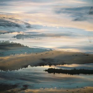 Metamorphosis, Series III #1