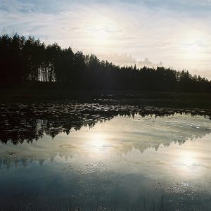 Metamorphosis, Series III #8