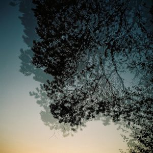 Metamorphosis, Series IV #3