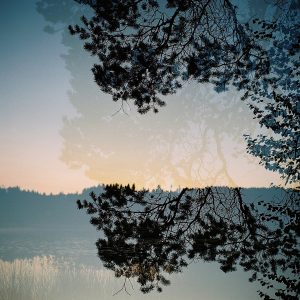 Metamorphosis, Series IV #4