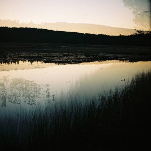 Metamorphosis, Series IV #5