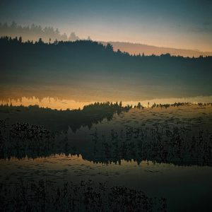 Metamorphosis, Series IV #6