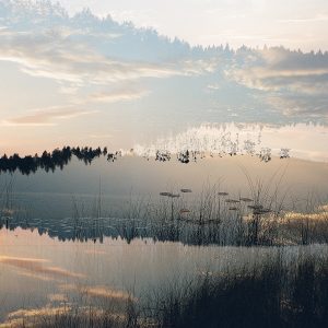 Metamorphosis, Series V #1