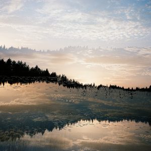 Metamorphosis, Series V #2