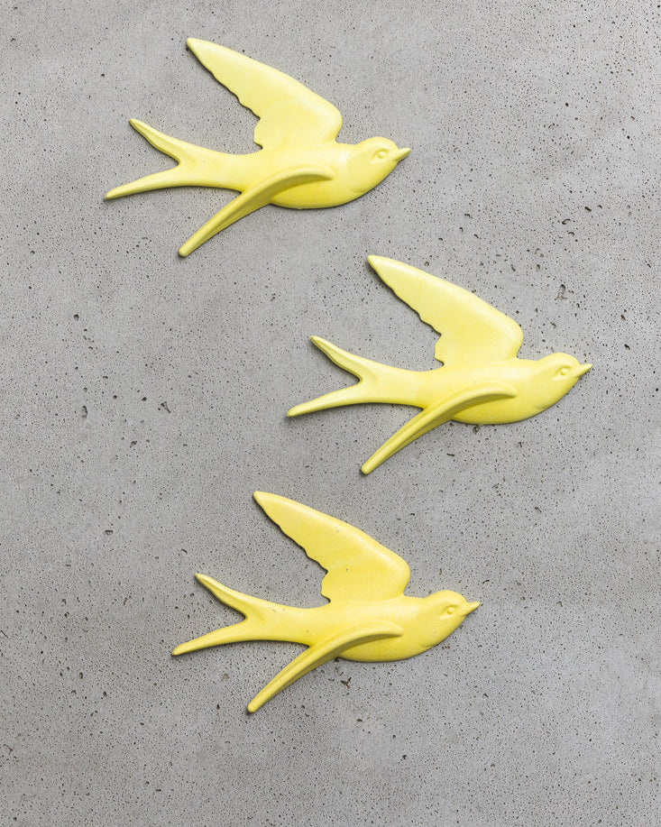 Lucky Swallow, Sea Lemon - Image 5
