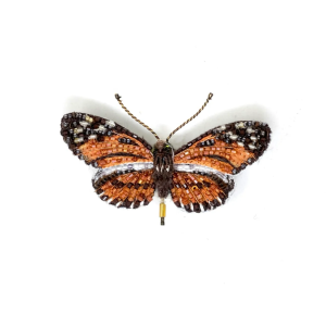 Isabella's Longwing Butterfly Brooch Pin