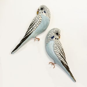 Blue Single Budgie facing left