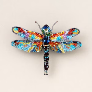 Mosaic Darner Dragonfly