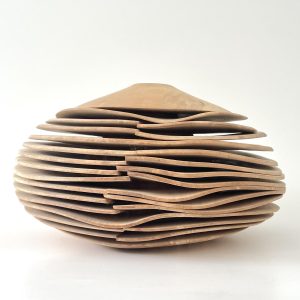 Spalted Beech Wavy Form